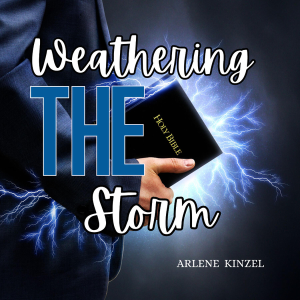 WEATHERING THE STORM 2 artwork