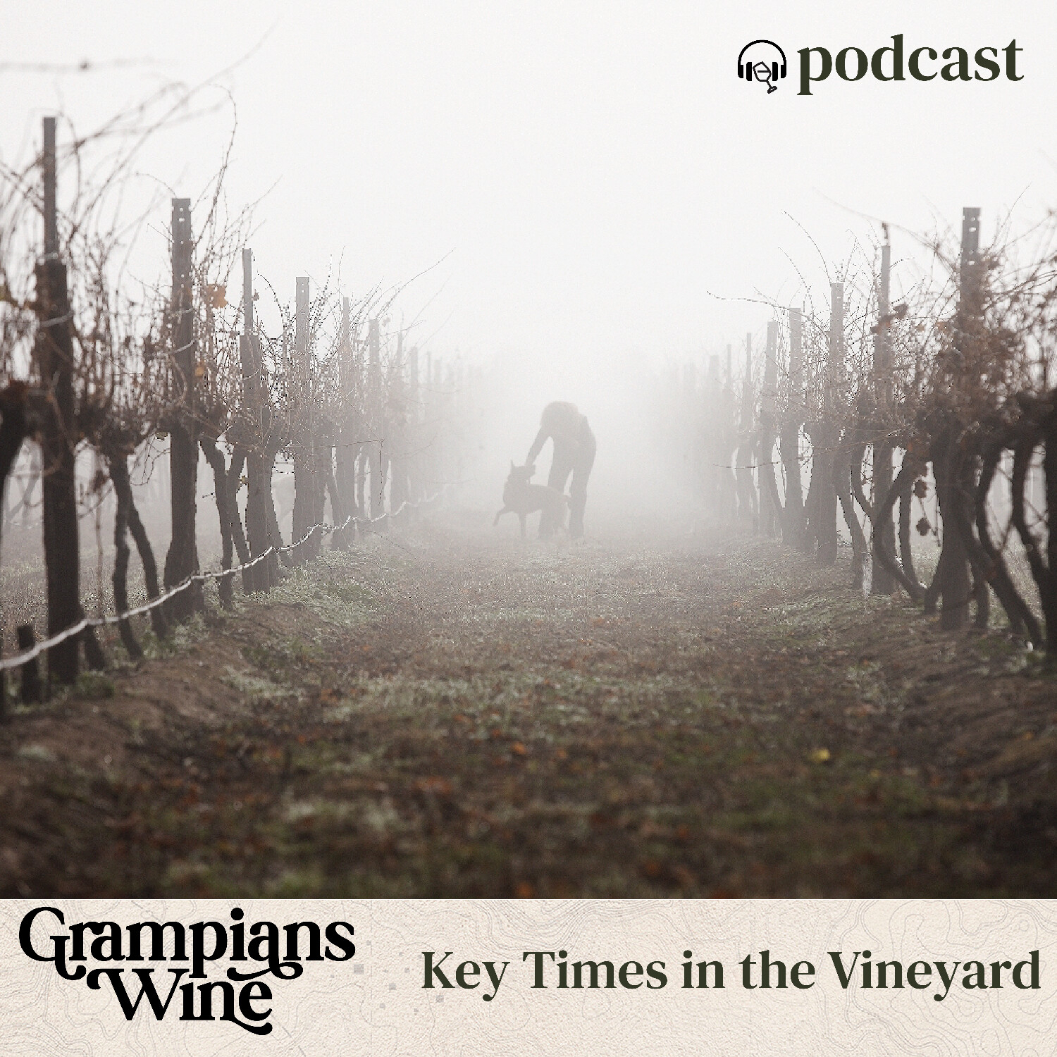 The Grampians Wine Podcast