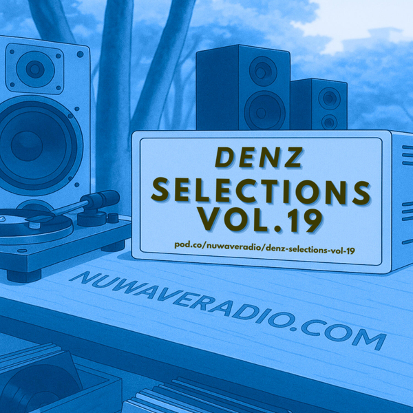 Denz - Selections Vol.19 artwork