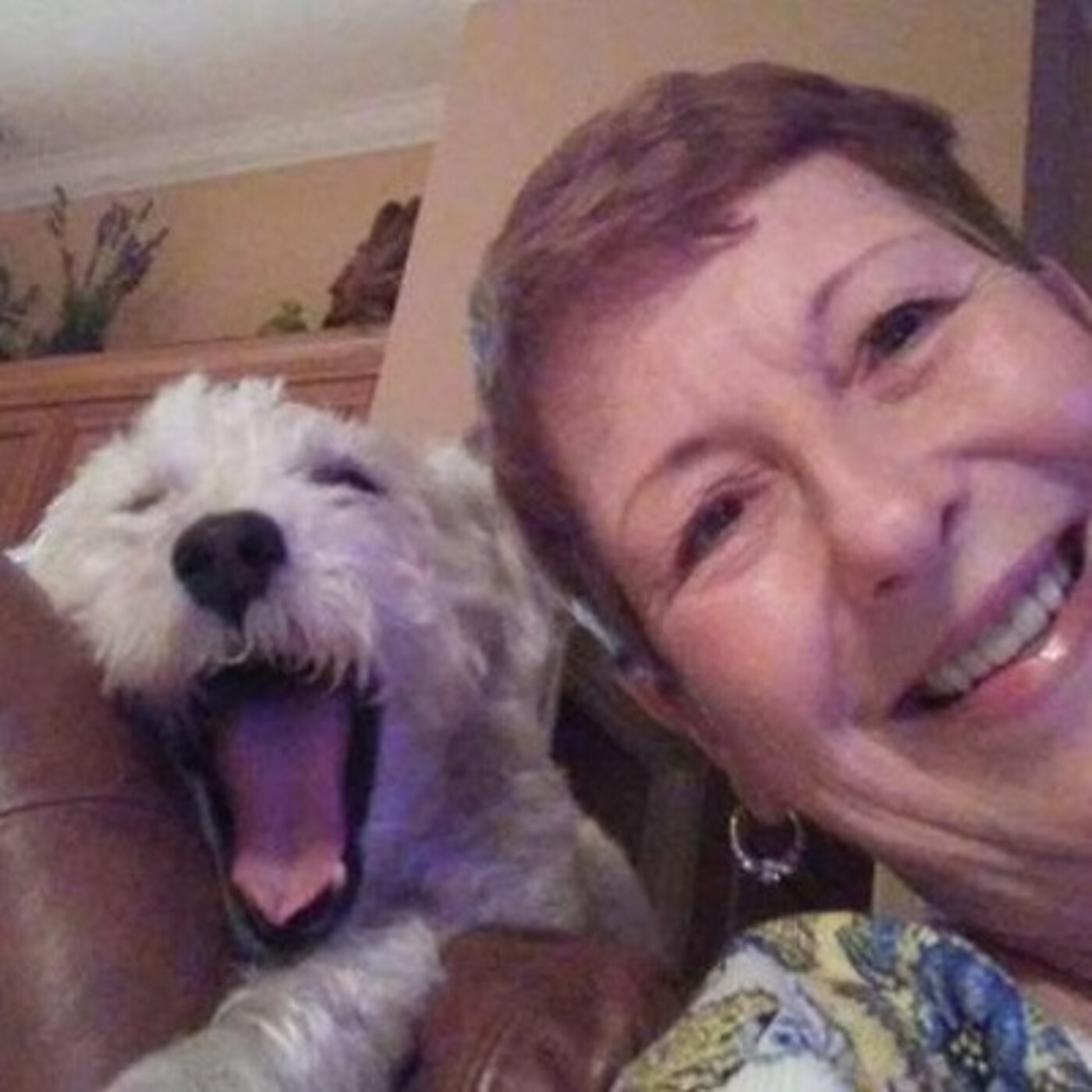 LET\'S TALK PETS - PATTY GIARRUSSO