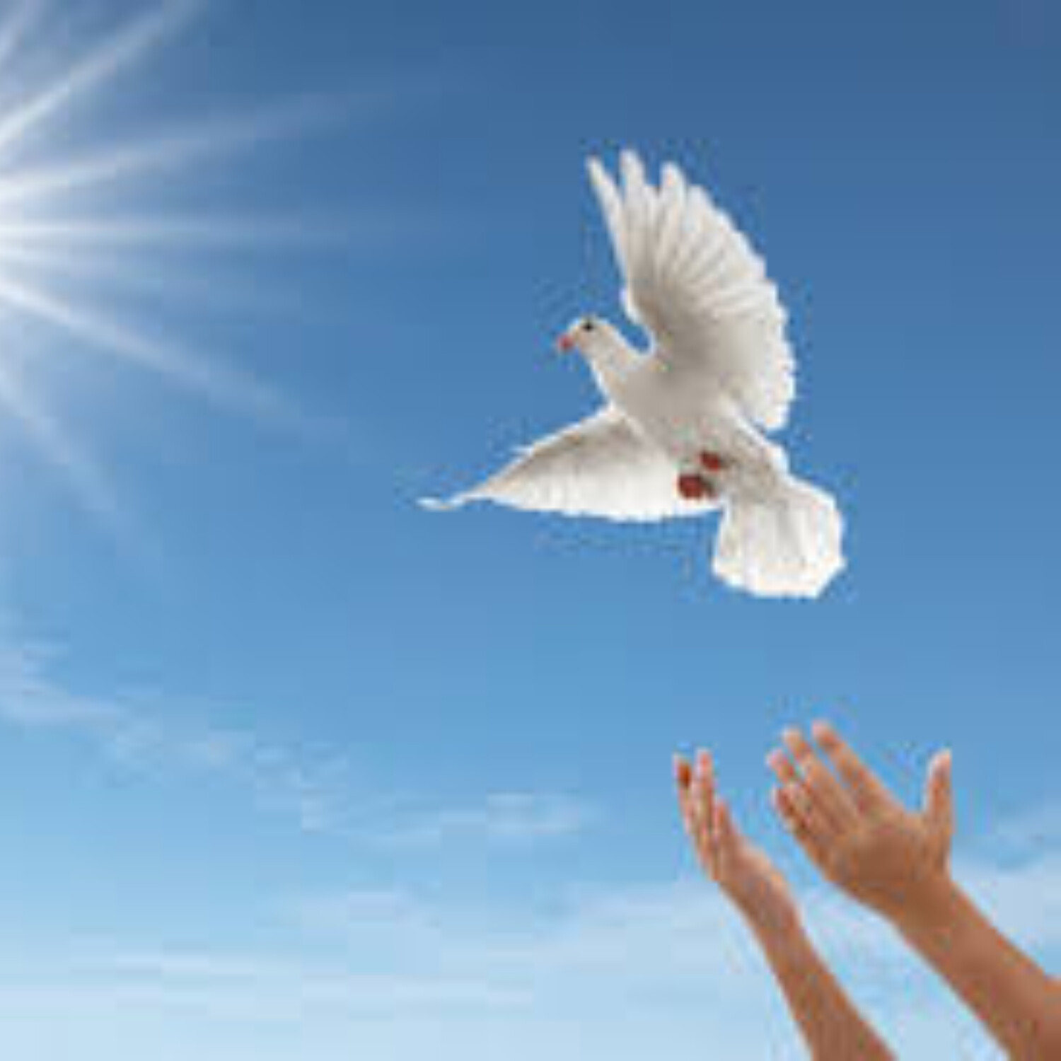 Narodit se k novému životu