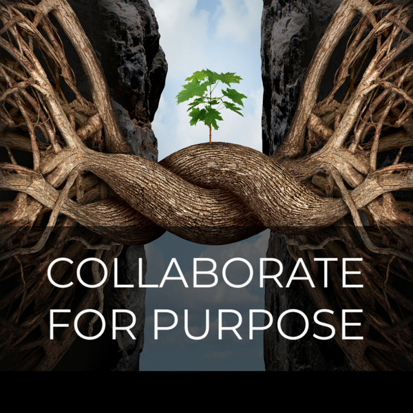 The Collaborate for Purpose Podcast artwork