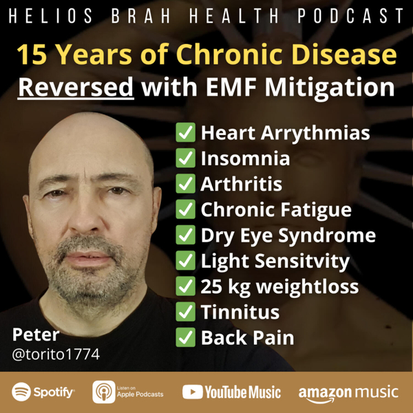 Peter @Torito1774 - How EHS Started, Symptoms, Progression, Recovery, EMF Shielding, Costs, Mistakes, Electrohypersensitvity #1 artwork