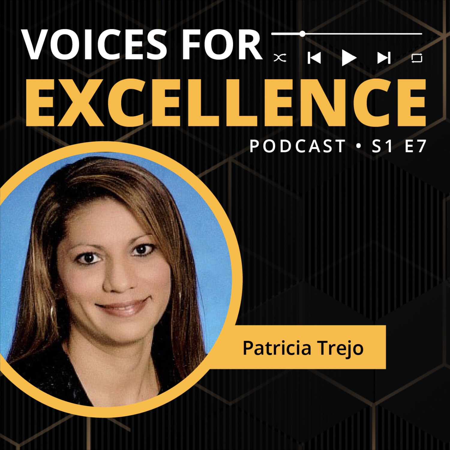 Voices for Excellence