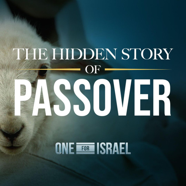 The Missing Piece in Your Passover Seder… FOUND artwork