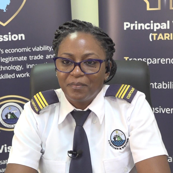 Customs Online Payment Platform Transforming Trade and Business Operations in Saint Lucia artwork