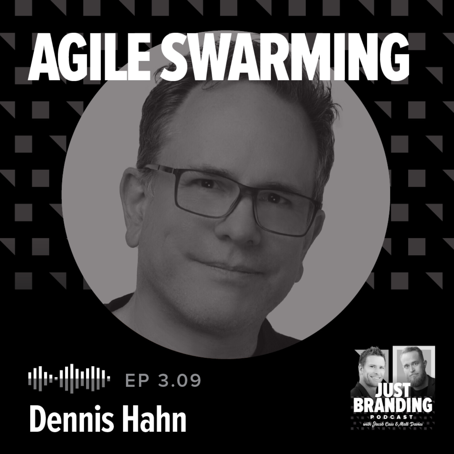 S03.EP09 - Agile Swarming with Dennis Hahn