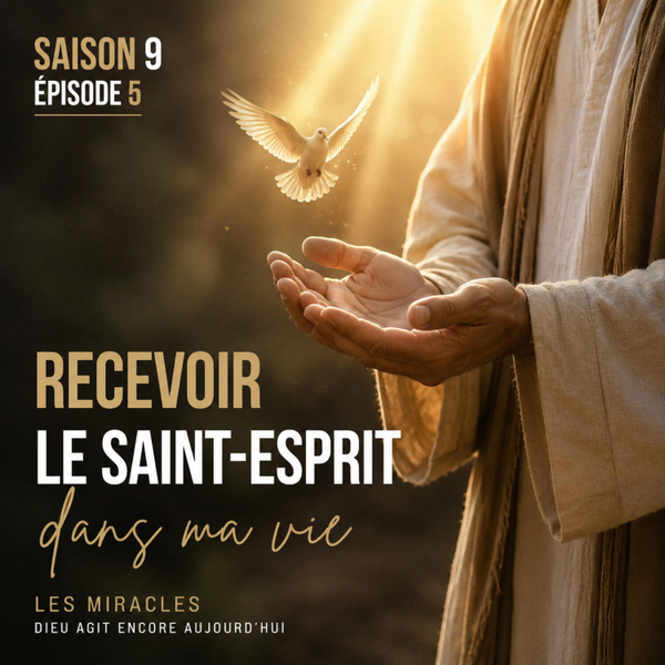 Le miracle du Saint-Esprit artwork