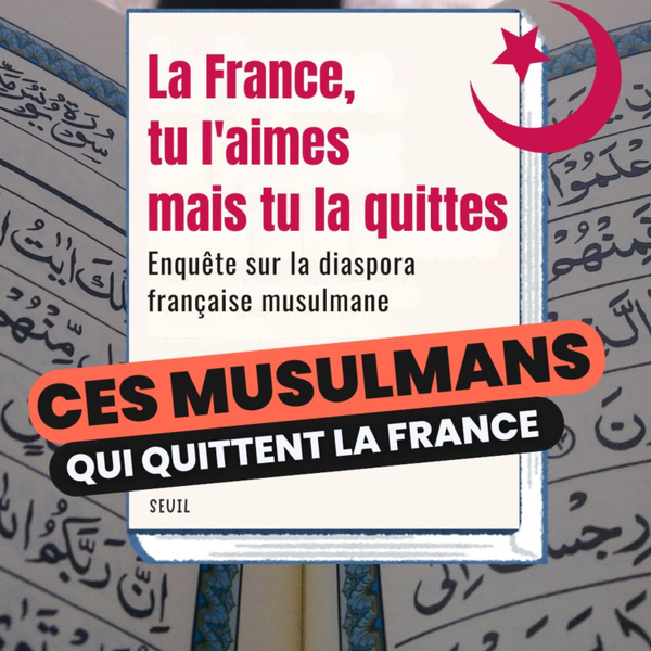 90 - "La France tu l'aimes mais tu la quittes : Enquête sur la diaspora française musulmane" artwork