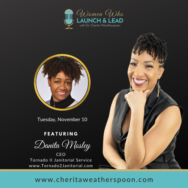 Danita Mosley - Tornado 2 Janitorial Service artwork