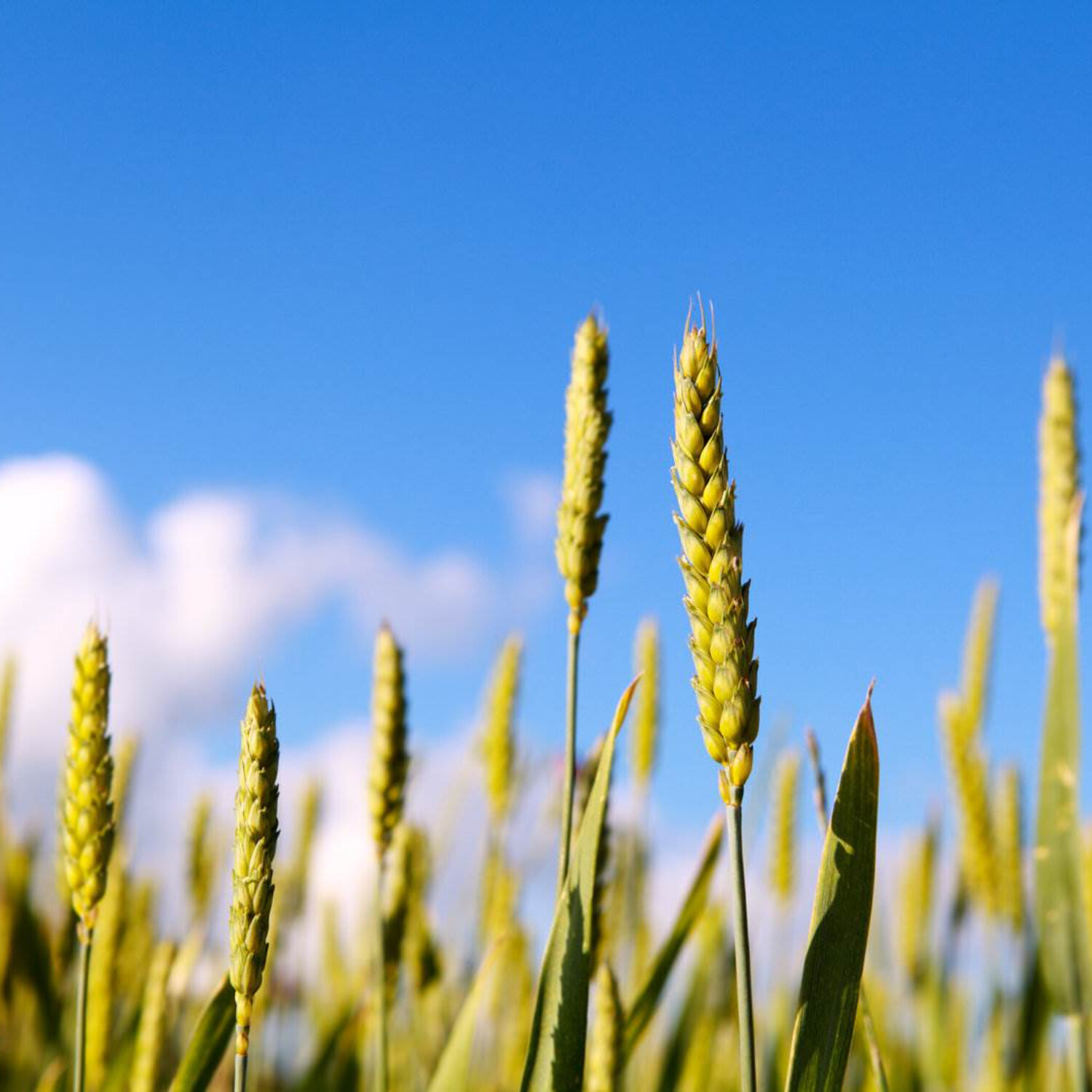 Boží přikázání vychází z jeho milosrdenství