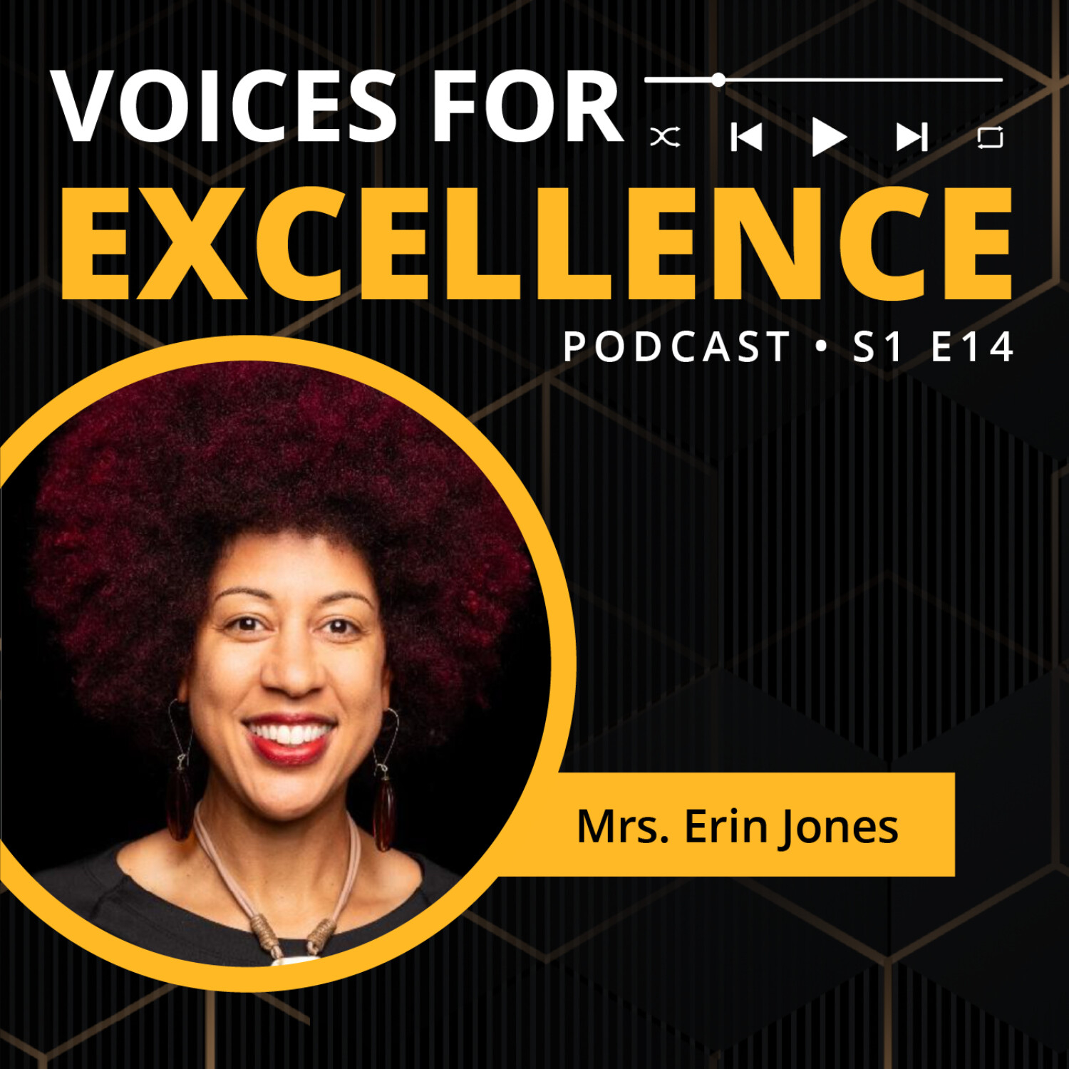 Voices for Excellence
