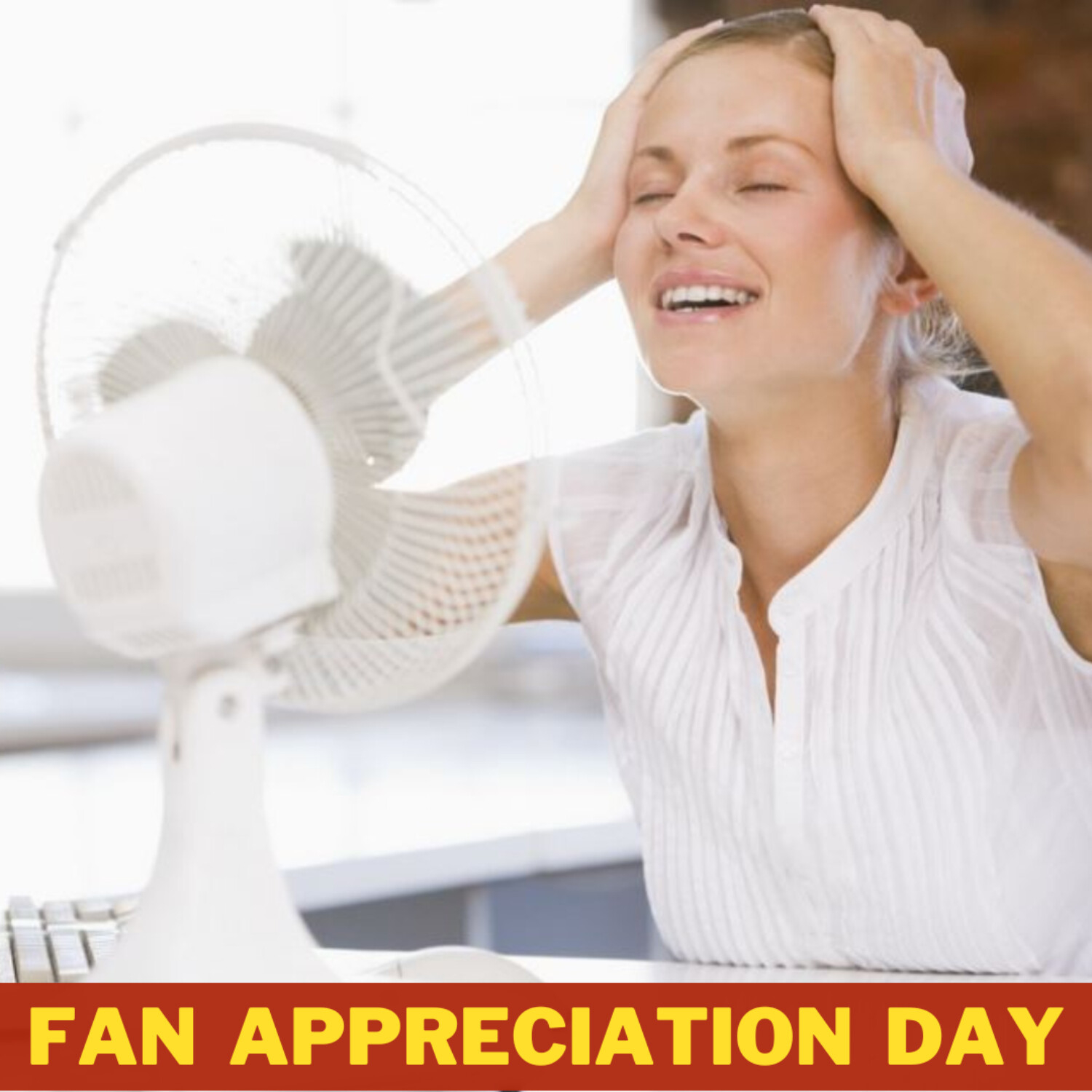 Fan Appreciation Day episode artwork