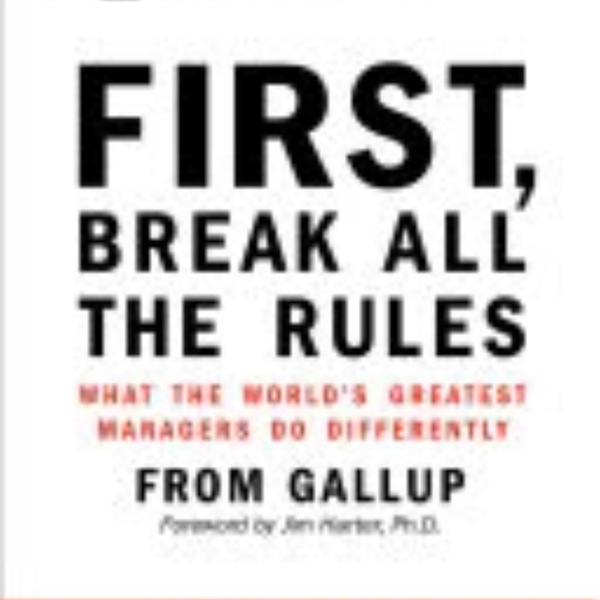 First, Break All the Rules: Key Insights Summarized artwork