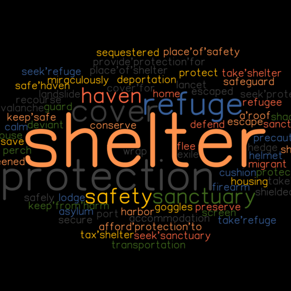 Types of homeless shelters  - 7:6:21, 5.54 AM artwork