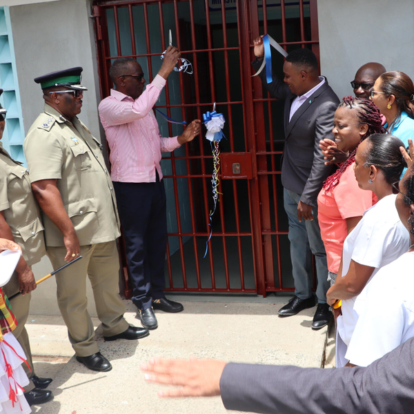Opening ceremony of the medical unit at the Bordelais Correctional Facility artwork