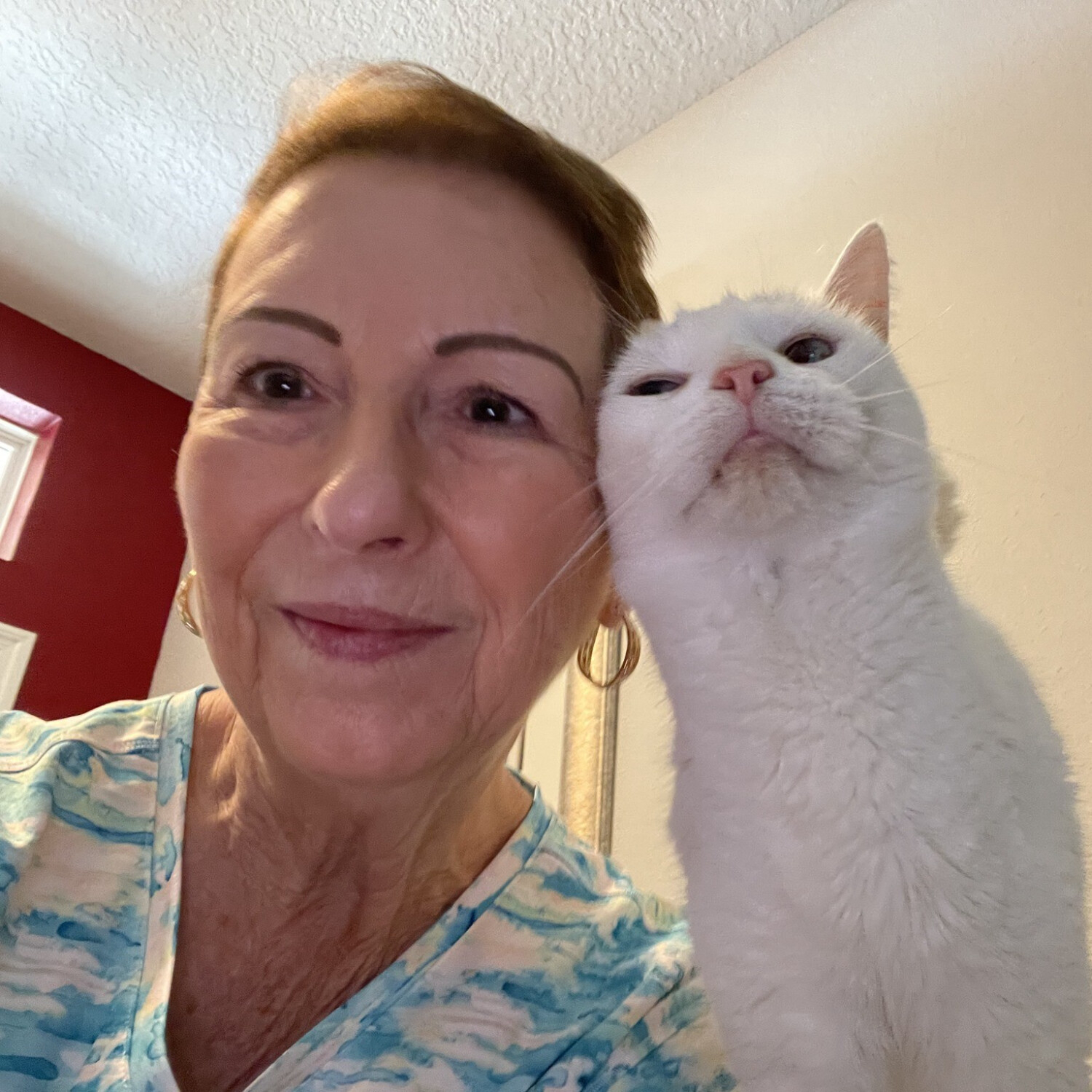 Why We Need More Professional Pet Sitters – Pet Sitter Series - Mary Oberdier
