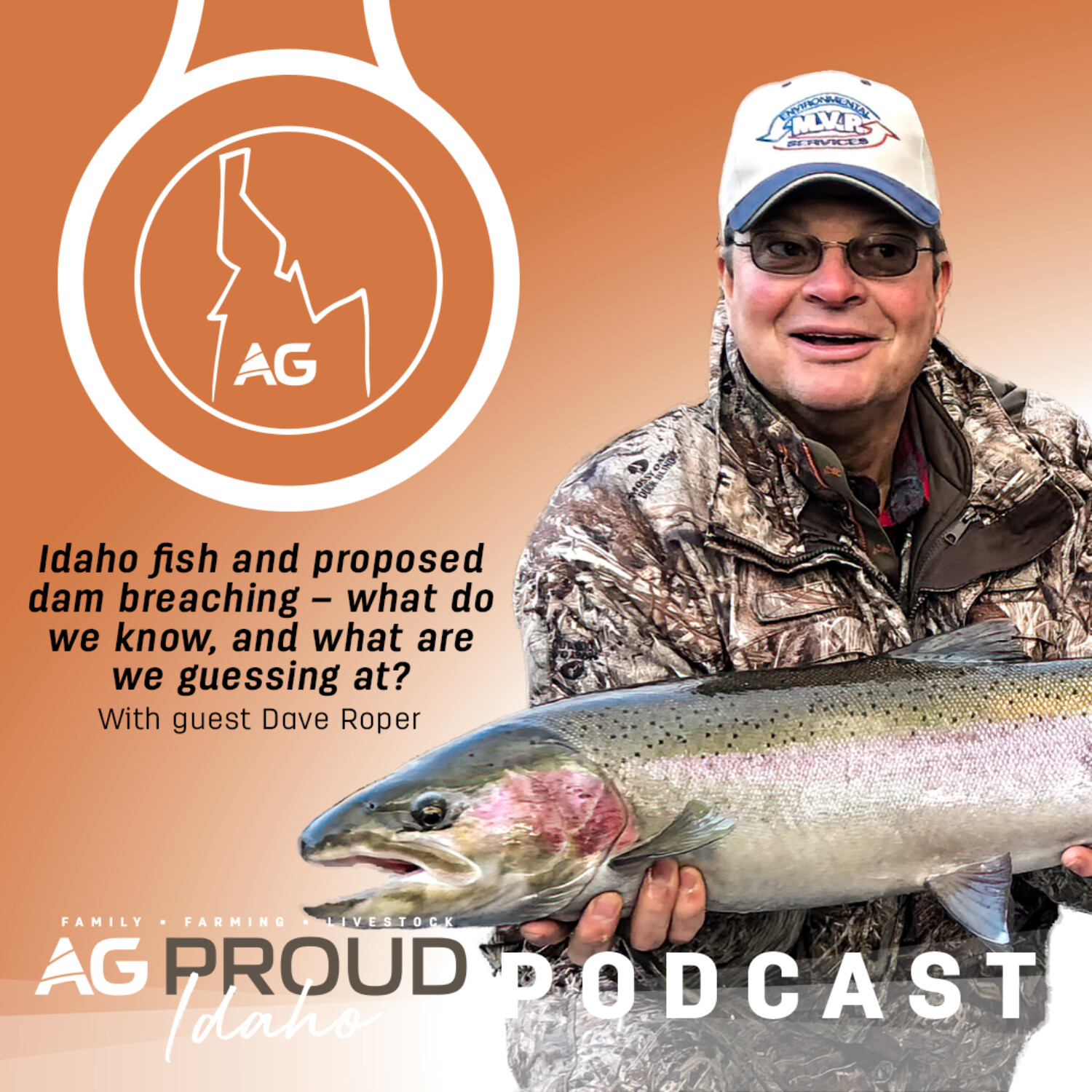Idaho fish and proposed dam breaching – what do we know, and what are we guessing at?