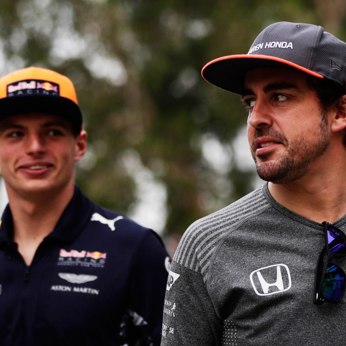 fernando alonso max verstappen
