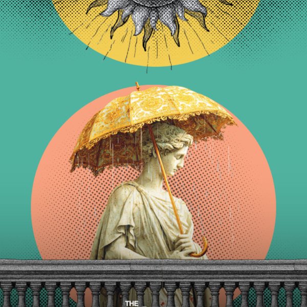 Beautiful Frameworks, Precarious Reality: How Europe Designs Research Careers artwork