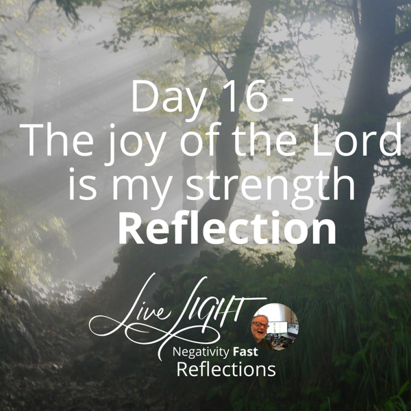 Negativity Fast Reflection - Day 16 - The Joy Of The Lord Is My Strength artwork