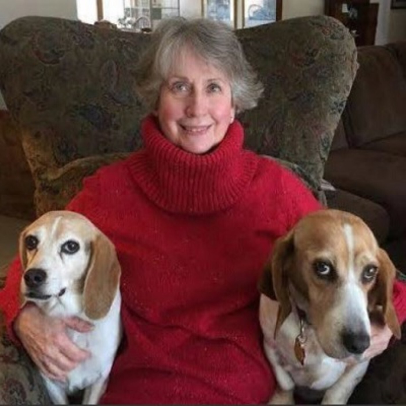 LET\'S TALK PETS - PATTY GIARRUSSO