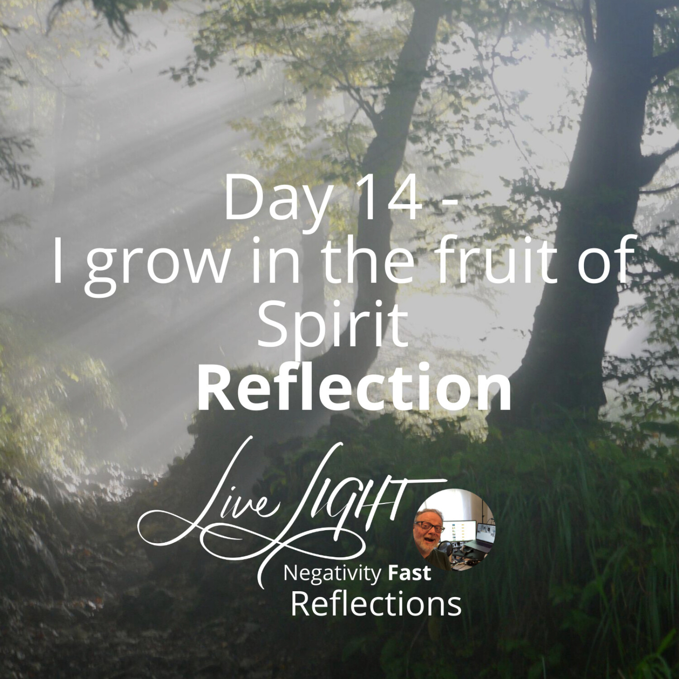Negativity Fast Reflection - Day 14 - I Grow In The Fruit Of Spirit