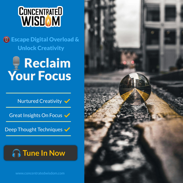 Reclaiming Focus in an Overstimulated World cover art