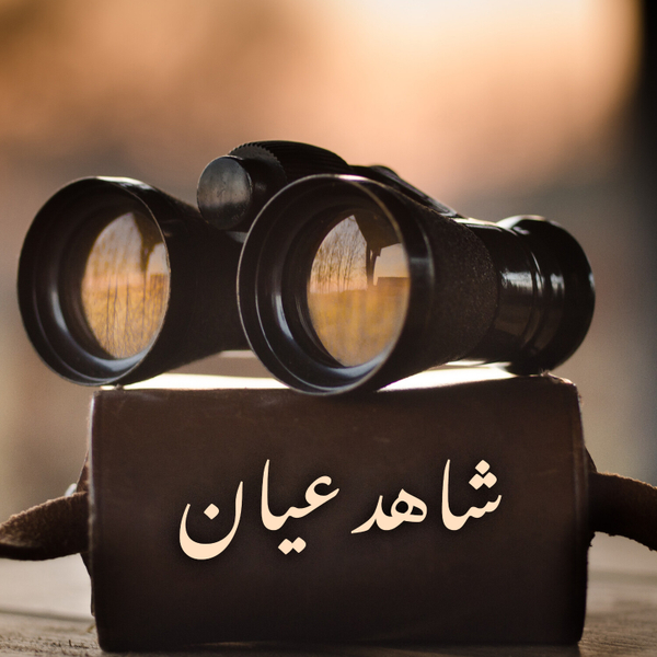 شاهد عيان artwork