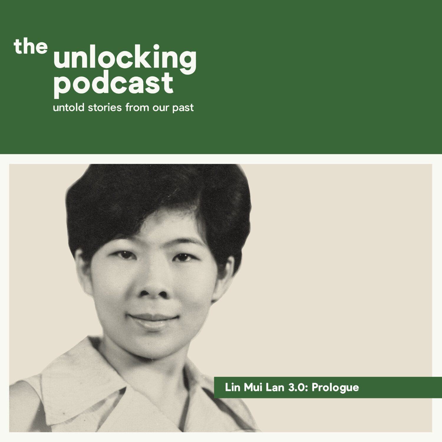 The Unlocking Podcast: Untold Stories From Our Past