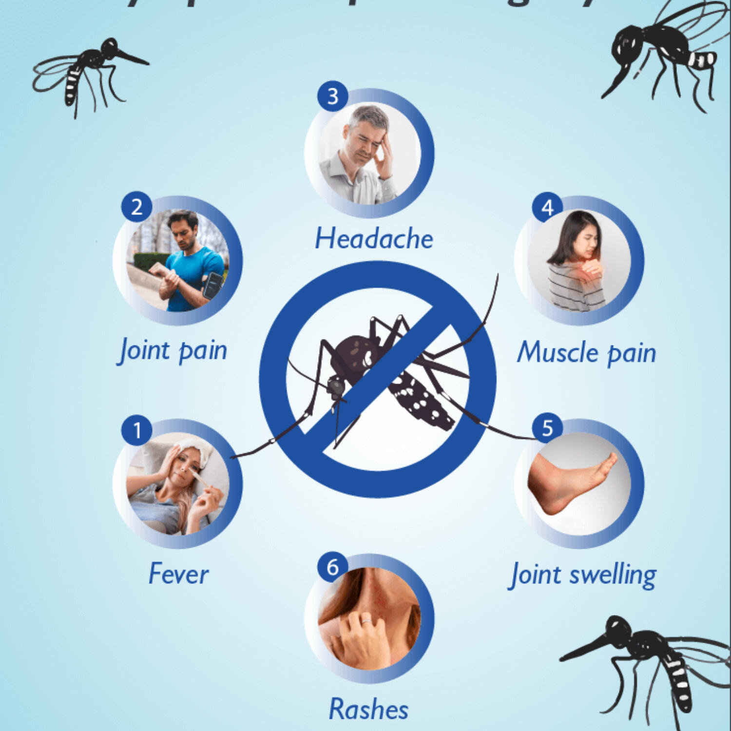 Ministry of Health urges public vigilance as Dengue, Chikungunya, and Zika circulates episode artwork