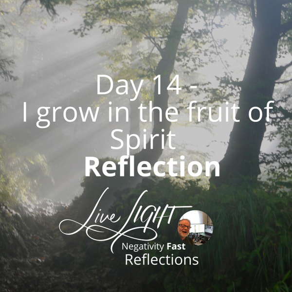 Day 14 - I grow in the fruit of Spirit Reflection artwork