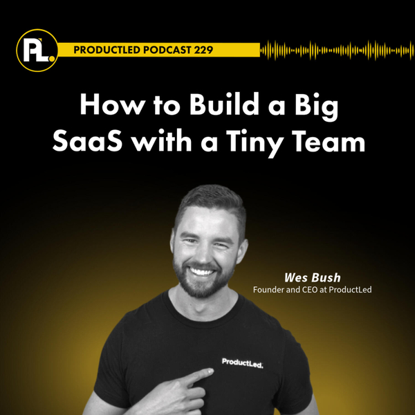 How to Build a Big SaaS with a Tiny Team.  artwork