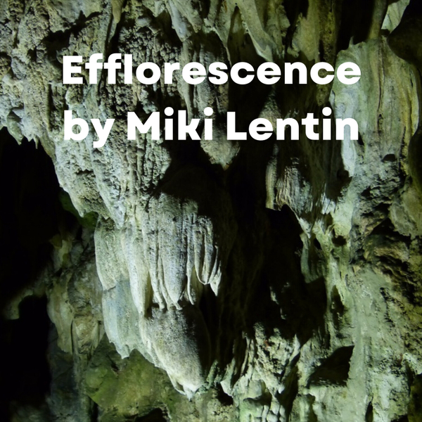 Efflorescence by Miki Lentin artwork
