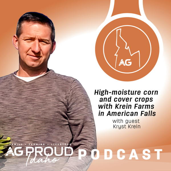 High-moisture corn and cover crops with Krein Farms in American Falls artwork