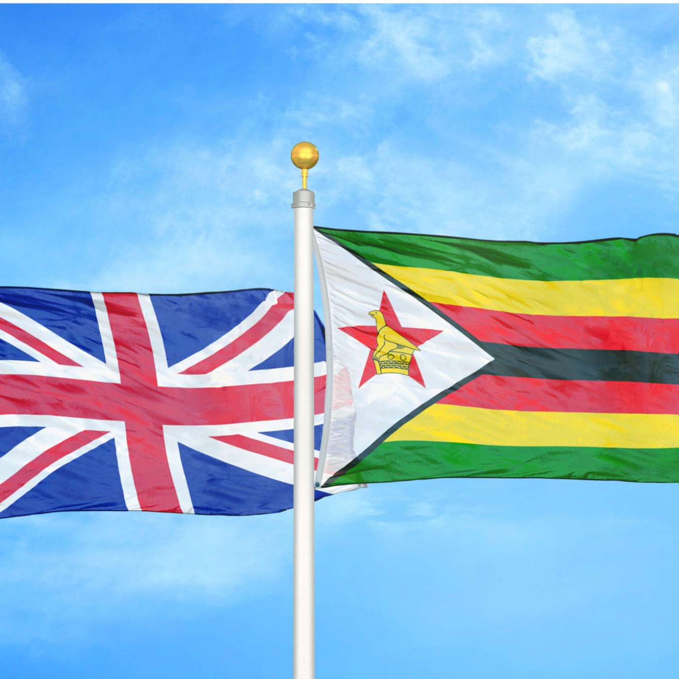 Insights from a UK Professional Turned Zimbabwe Farmer | Conversations