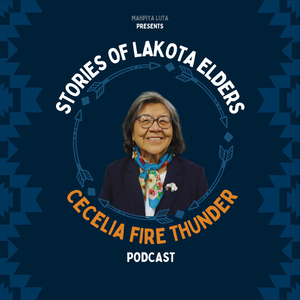  Stories of Lakota Elders artwork