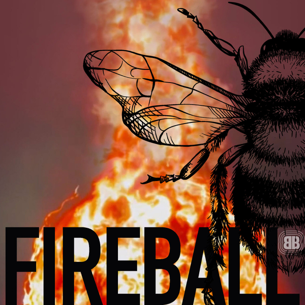 B Beats Neil 'Fireball' Fraser - Deep, Minimal and Melodic House artwork