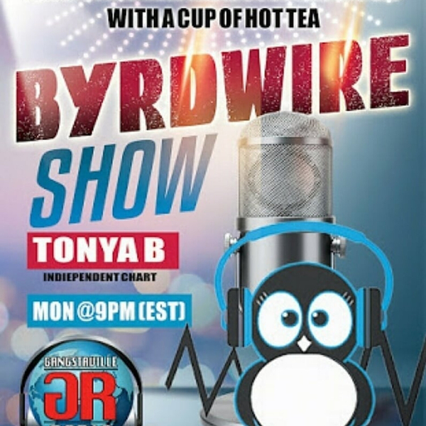 The BirdWire Show artwork