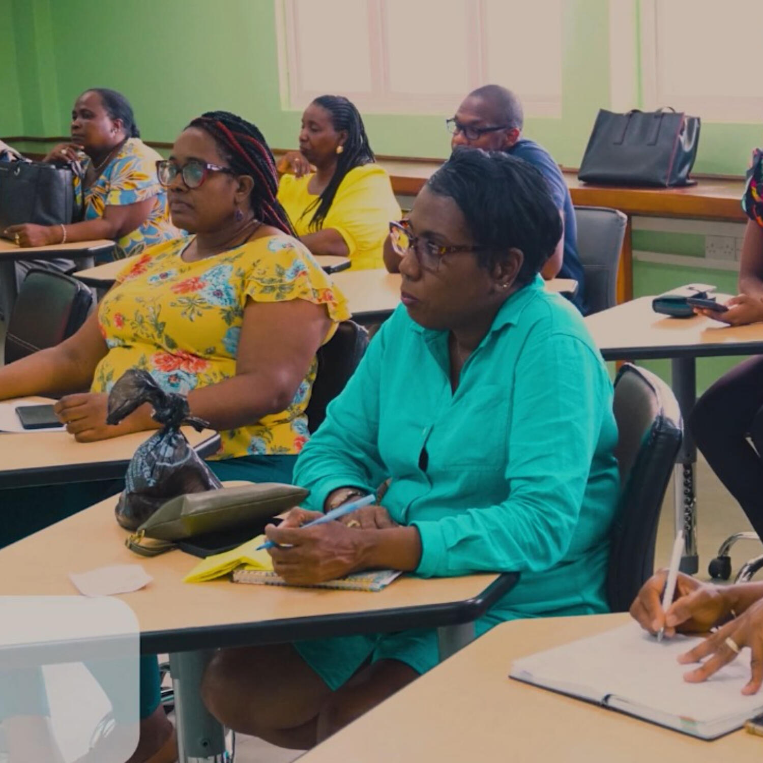 Successful Consultant Mission Support OECS Skills and Innovation Project (SKIP) episode artwork