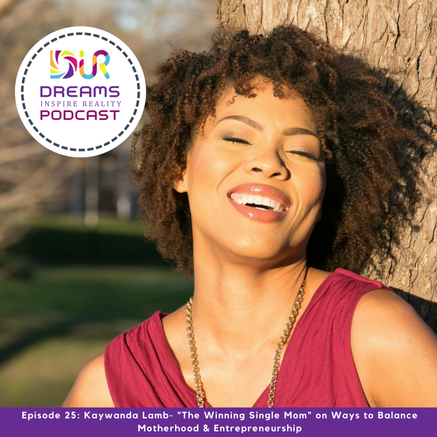 Dreams Inspire Reality Podcast