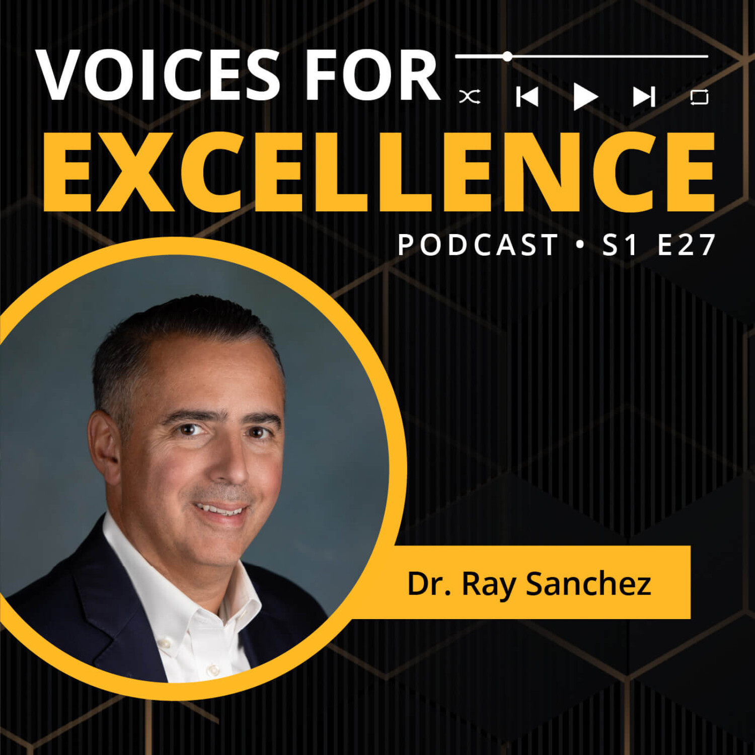 Voices for Excellence