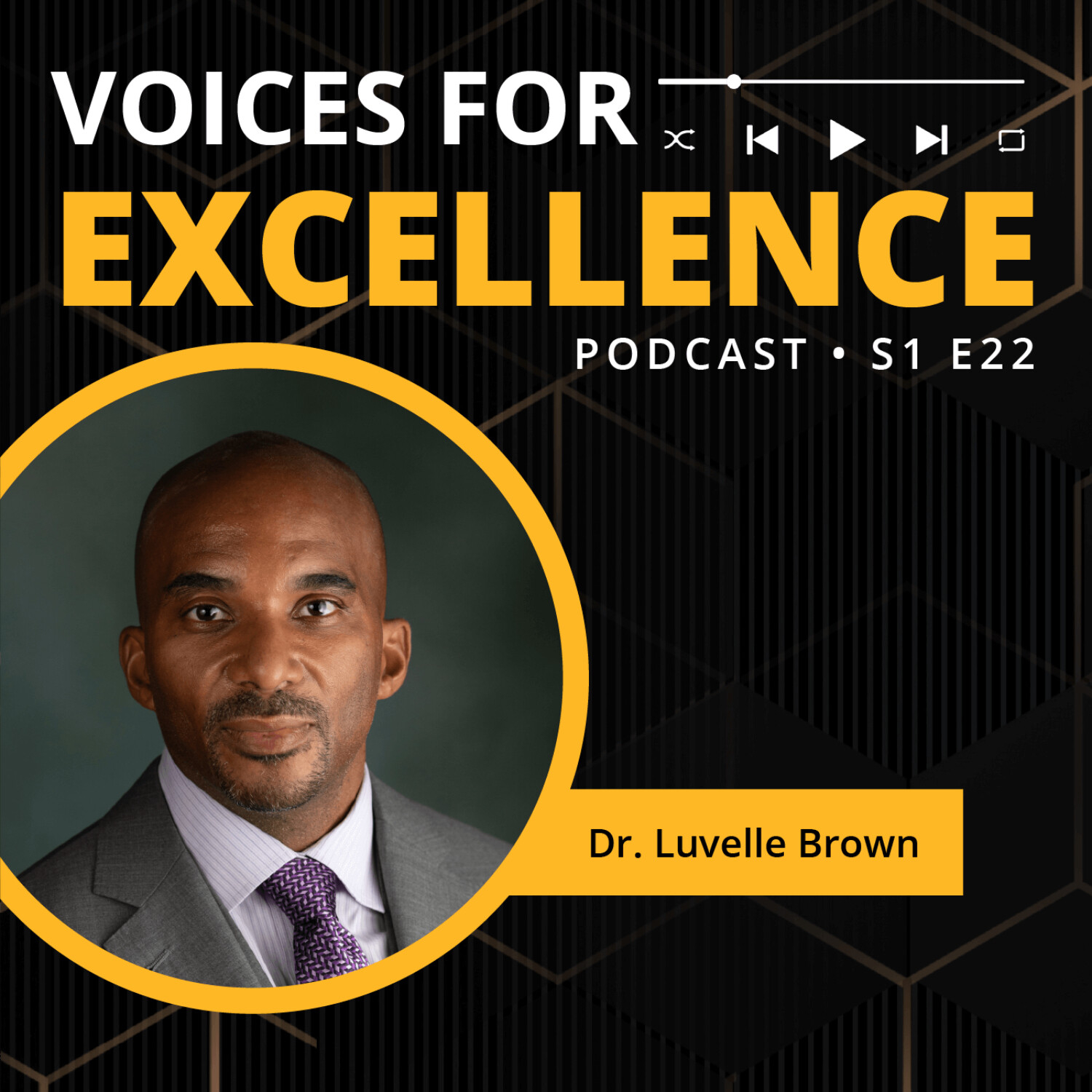 Voices for Excellence