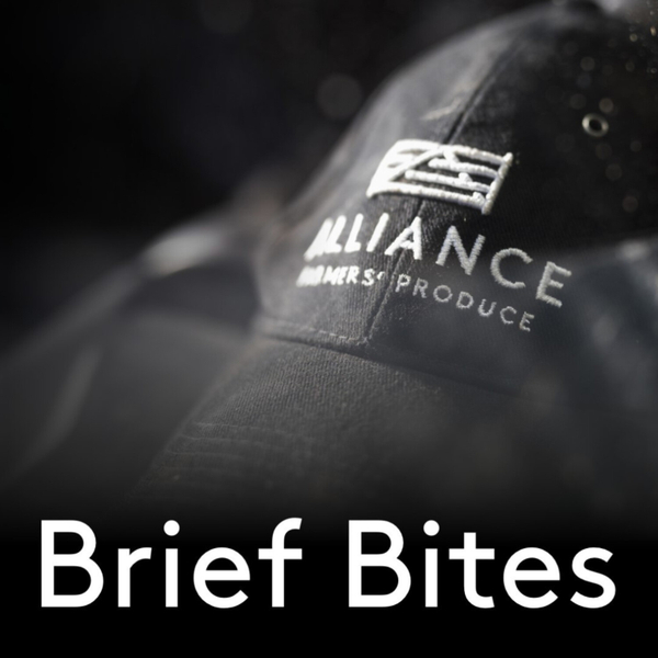 Brief Bites by Alliance Group Limited artwork