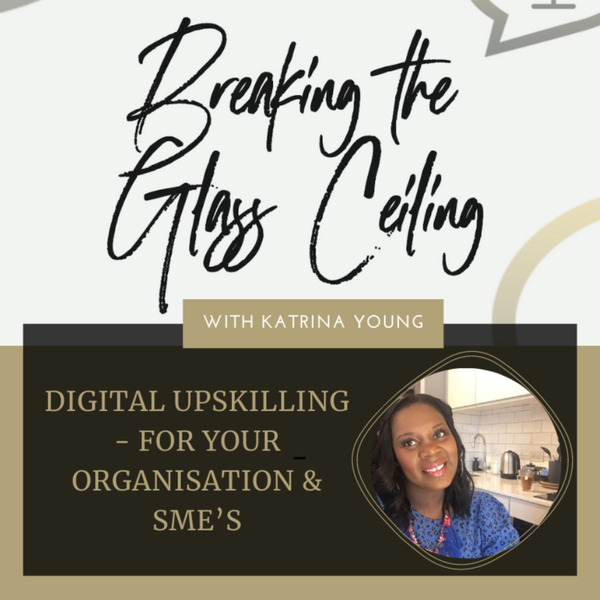Episode 17 - Digital Upskilling - For your Organisation & SME’s  artwork