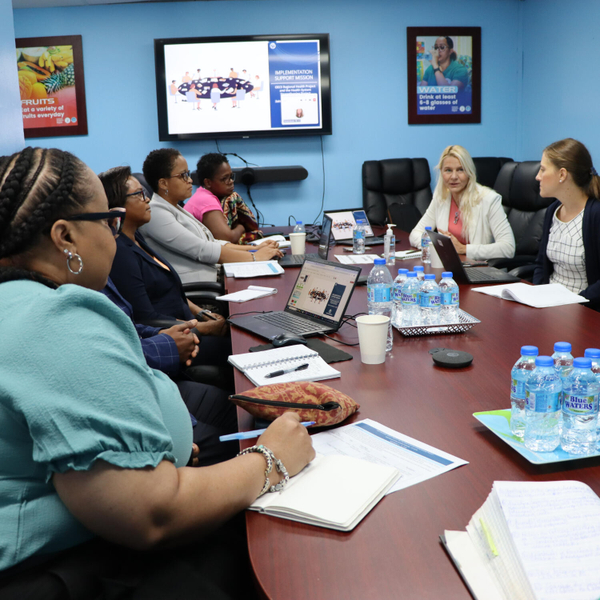 World Bank Implementation Support Mission for HSSP and OECS Regional Health Project artwork