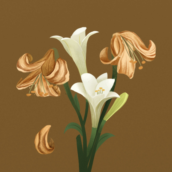 Redemption and Tragedy: Tess of the d'Urbervilles artwork