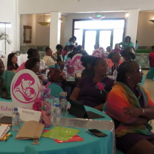 NATIONAL MIDWIFERY CONFERENCE PROMOTES PROFESSIONAL DEVELOPMENT artwork