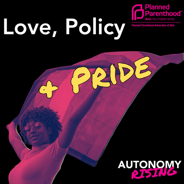 Love, Policy & Pride artwork