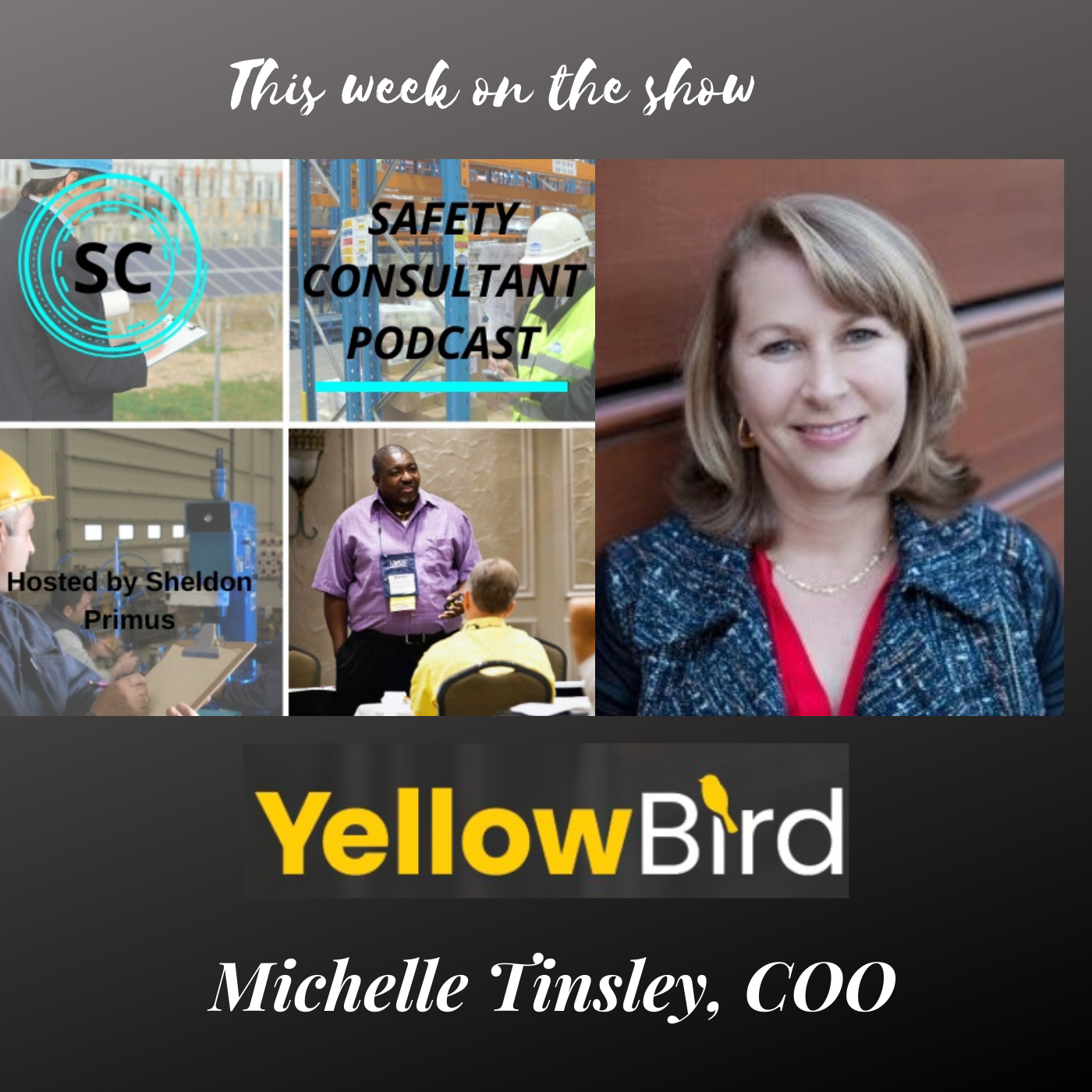 Michelle Tinsley: GoYellowbird.com